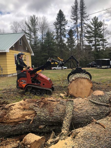 A man is using a machine to remove a tree stump.