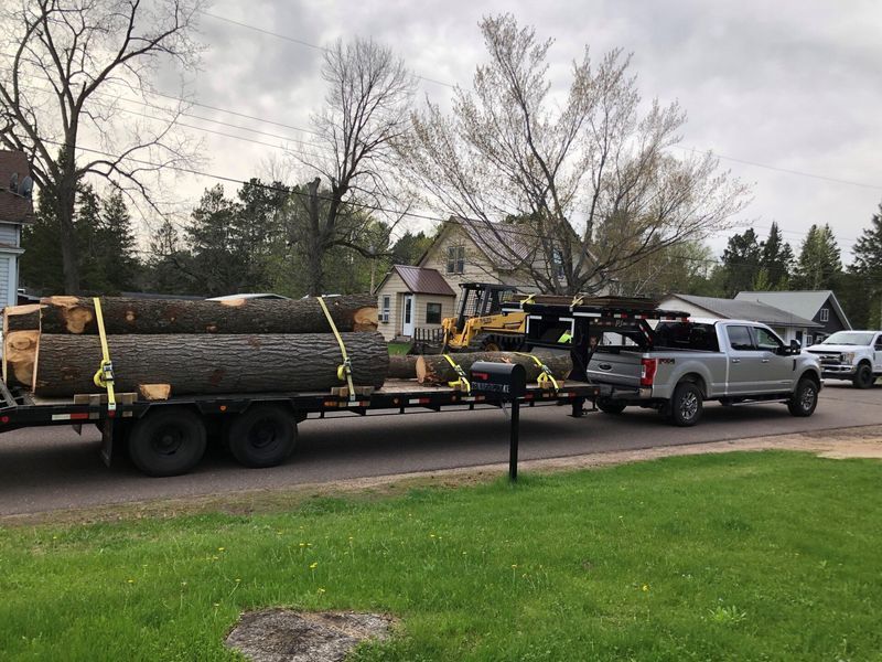 A truck is carrying logs on a trailer.