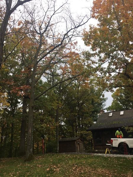 A truck is parked in front of a house surrounded by trees