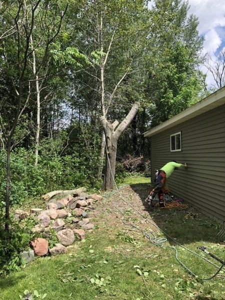 A man is cutting a tree in front of a house.