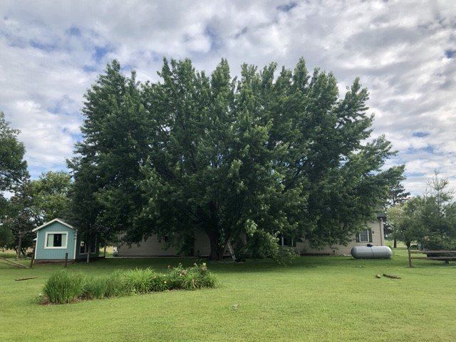A house with a large tree in front of it