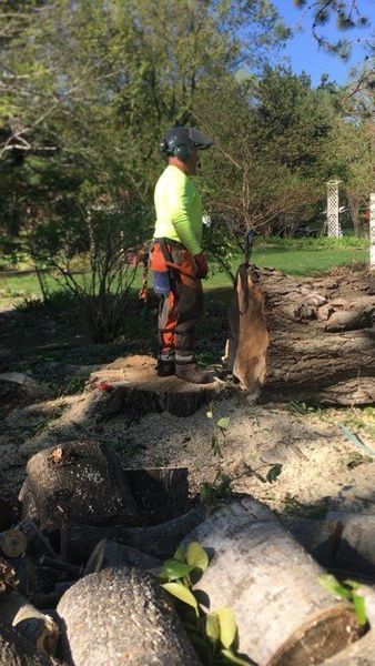 A man is standing next to a pile of logs.