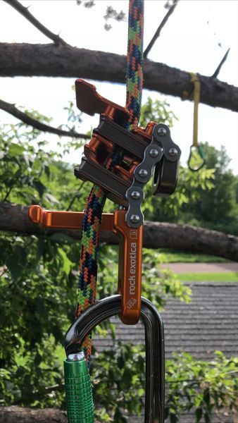 A close up of a rope hanging from a tree branch.