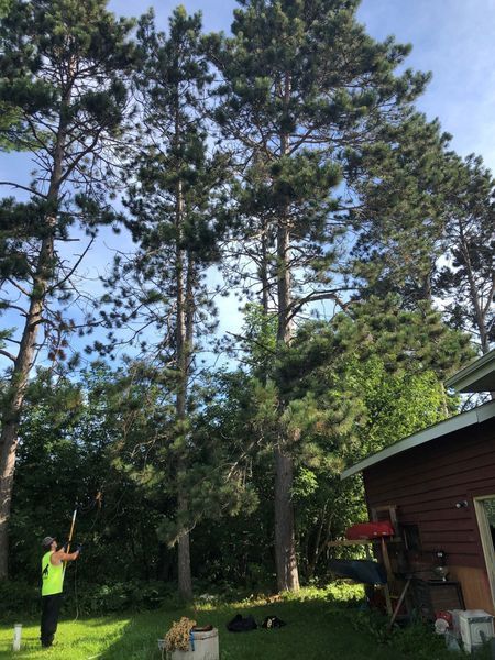 A man is standing in front of a house surrounded by trees.
