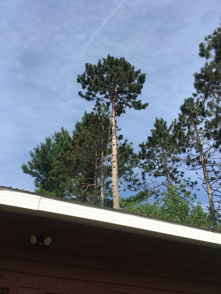 A rooftop view of a house with trees in the background