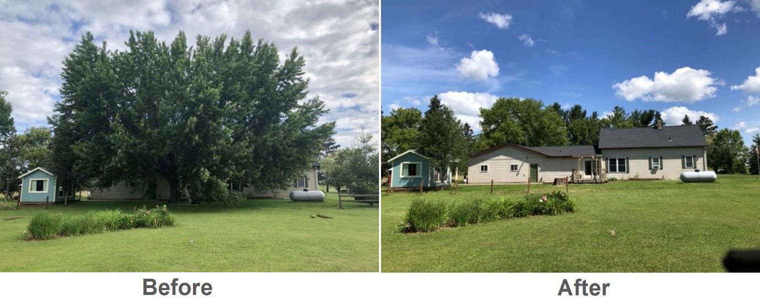 A before and after picture of a house and a tree.