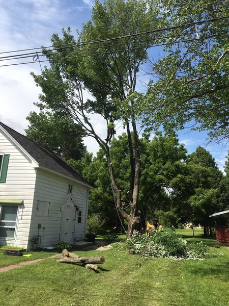 A white house with a large tree in front of it.