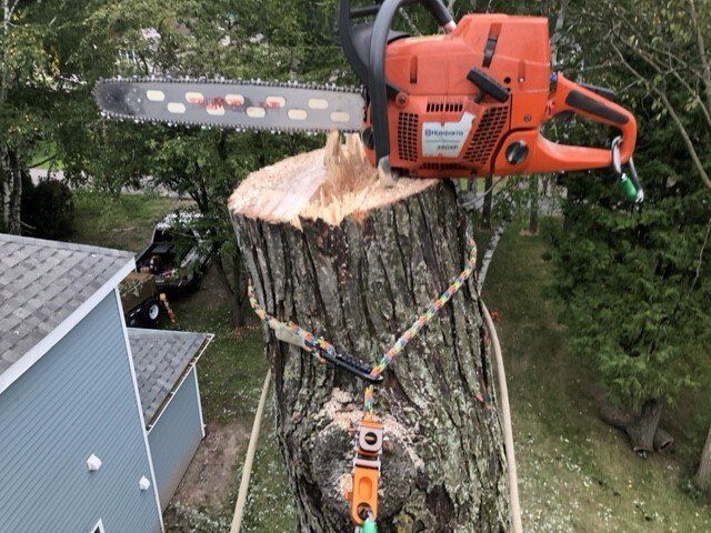 A chainsaw is sitting on top of a tree stump.
