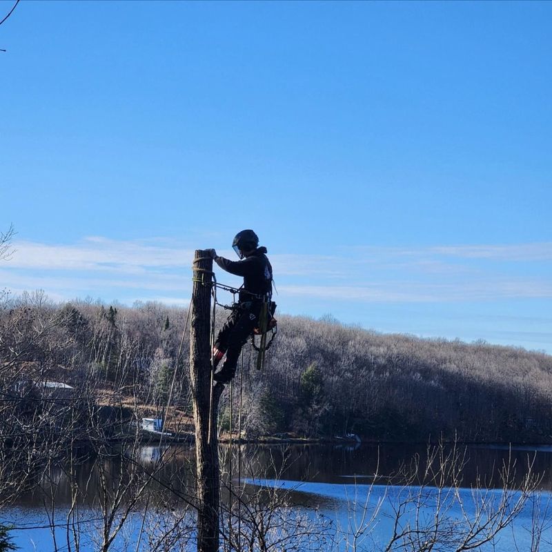 A man is climbing up a tree stump near a body of water.