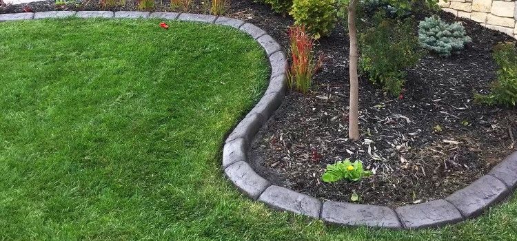 concrete curbing around trees Idaho
