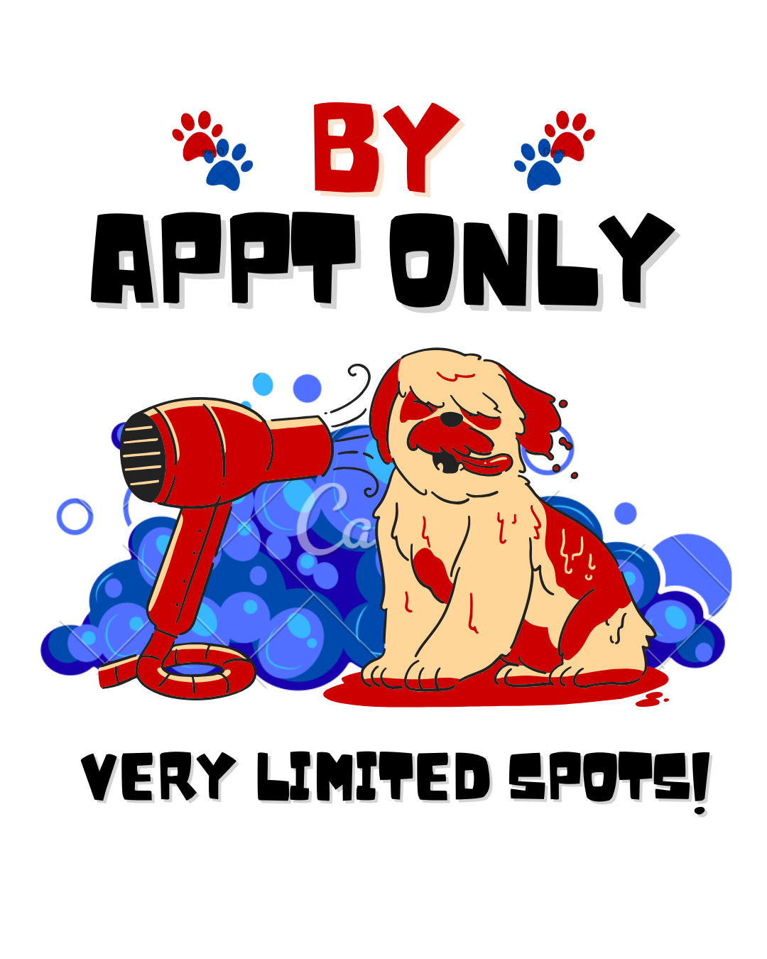 Dog with mottled fur, placing a paw on a smiling tabby cat, both looking up.