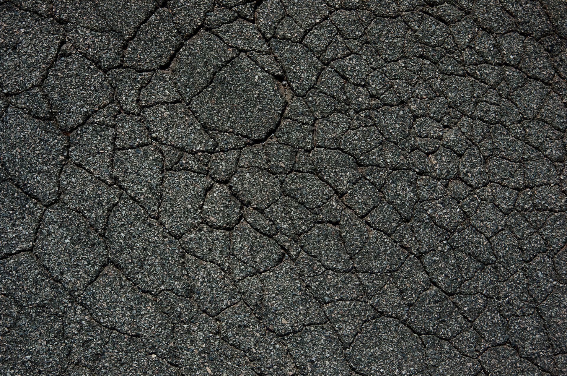 A close-up of a cracked asphalt road.