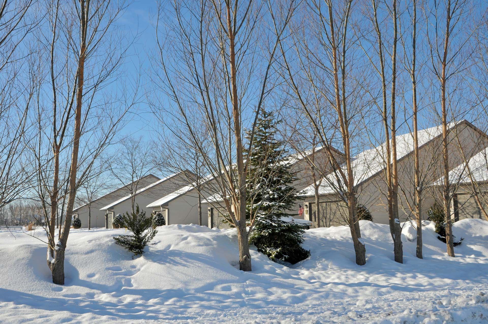 Snow-covered townhouses behind leafless trees on a sunny winter day.