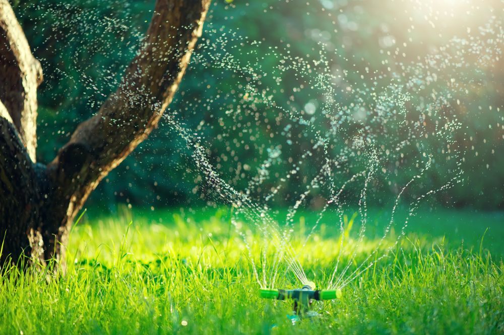 Smart garden activated with full automatic sprinkler irrigation system