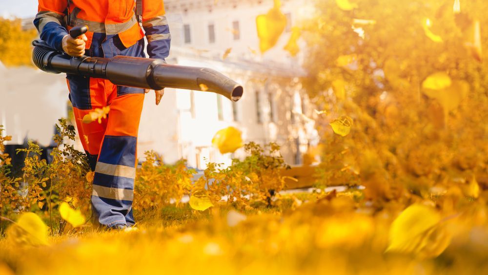 Male worker removes leaf blower lawn of garden Autumn