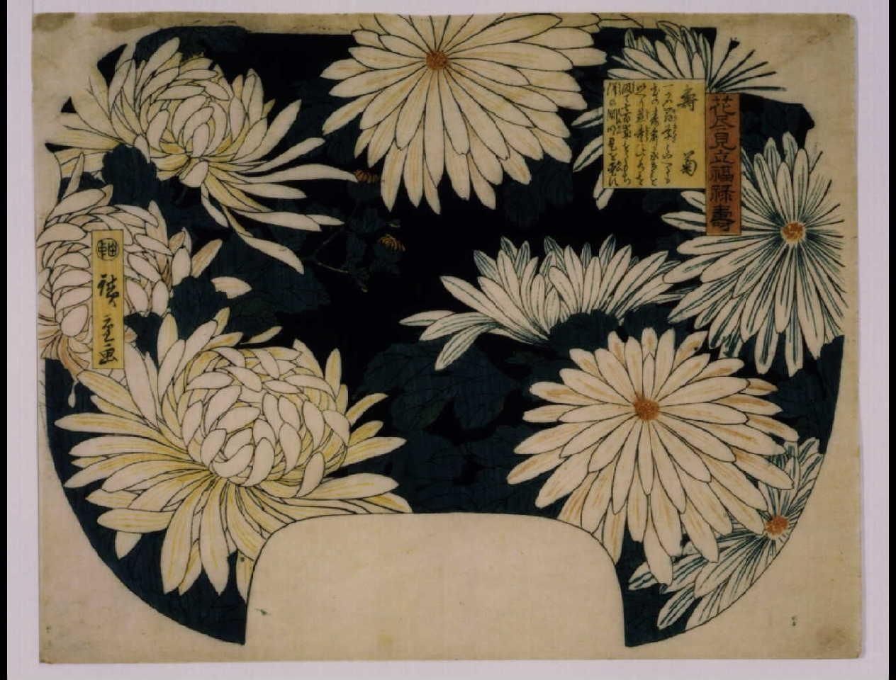 A drawing of white flowers on a black background