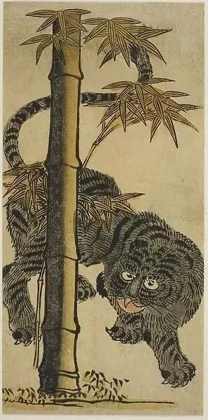 A tiger is peeking out from behind a bamboo tree.