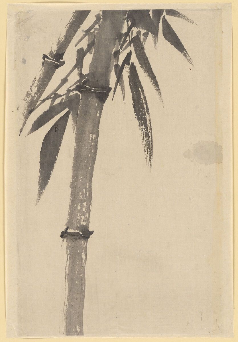A black and white drawing of a bamboo tree
