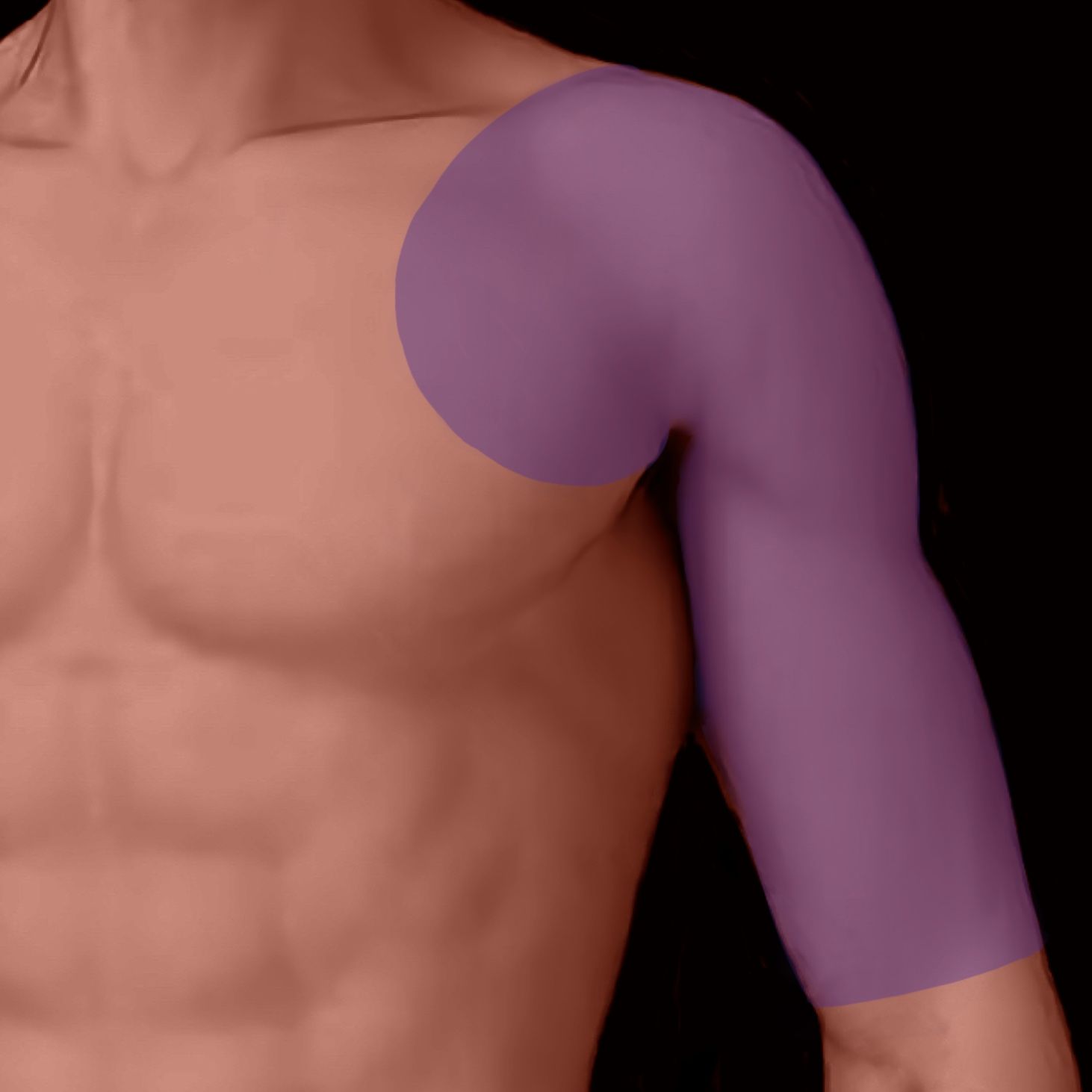 Purple shaded human arm and shoulder, highlighting a body part.