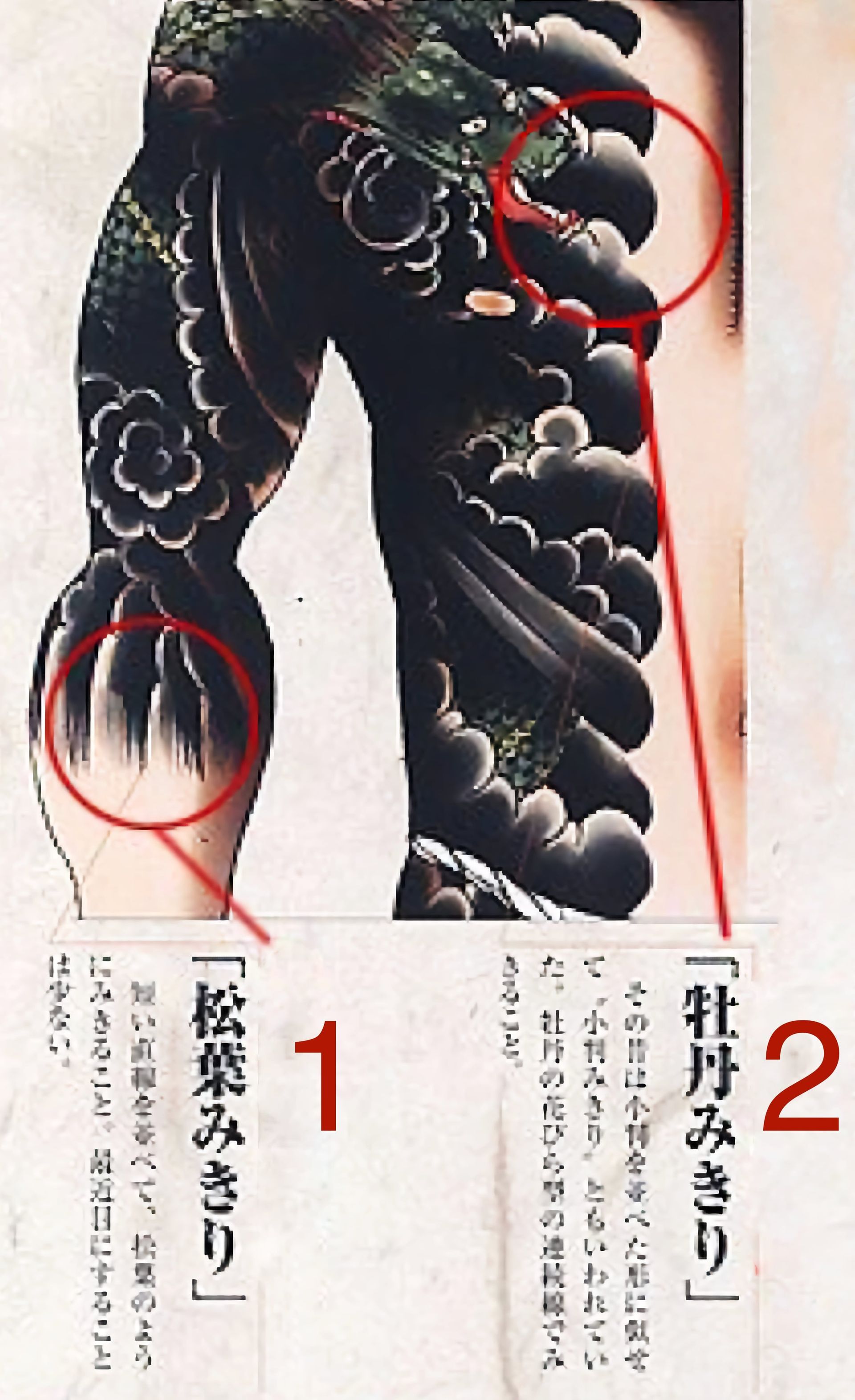 Japanese tattoo art with dragon design; two red circles highlight details.