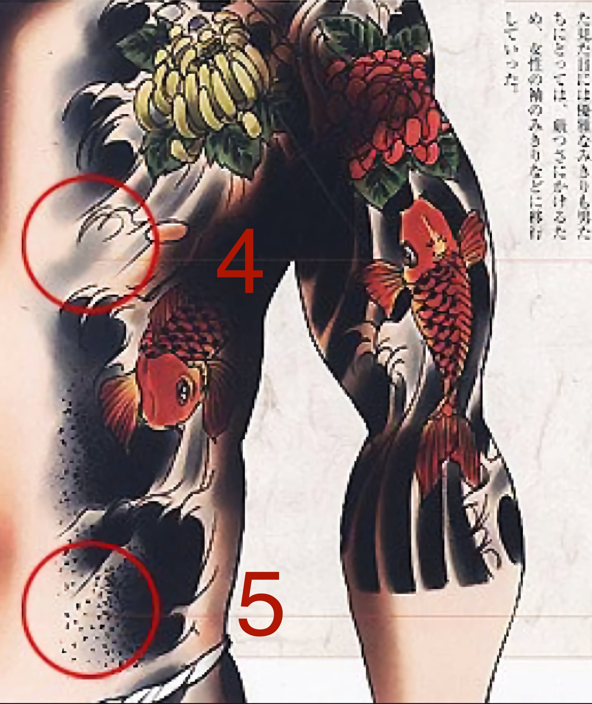 Detailed tattoo on a leg featuring koi fish, chrysanthemums, and water waves in red, gold, and black.