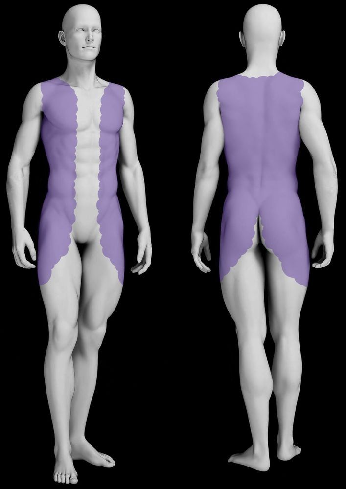 Human figure, front and back views, with highlighted purple muscle areas on torso and legs.