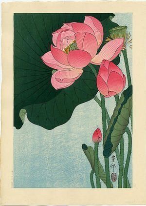 A painting of a pink lotus flower with a green leaf.