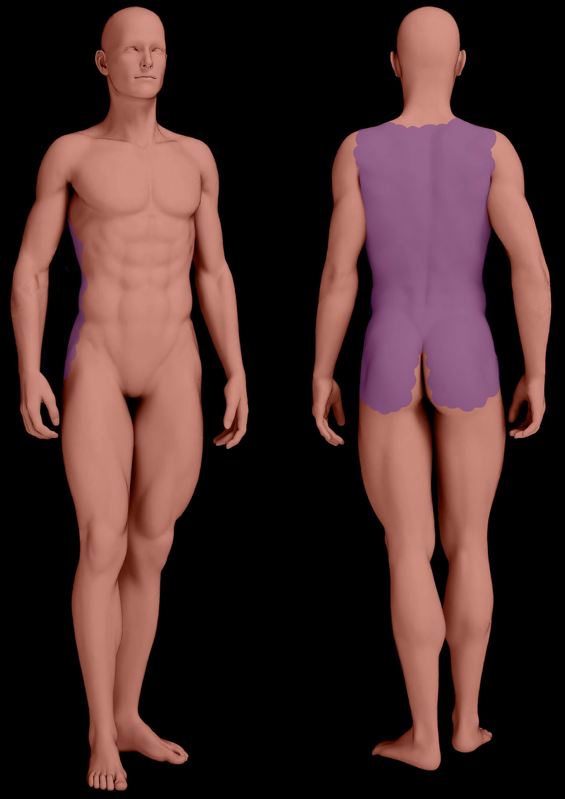 Front and back view of a human body, showing Se-wari, Full Back irezumi tattoo-shorter version