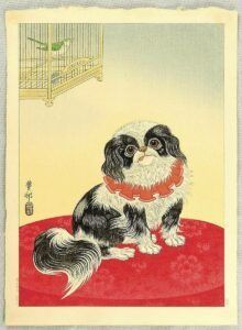 A black and white dog is sitting on a red cushion in front of a bird cage.