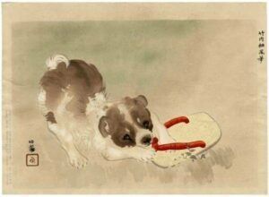 A brown and white dog is playing with a pair of flip flops.