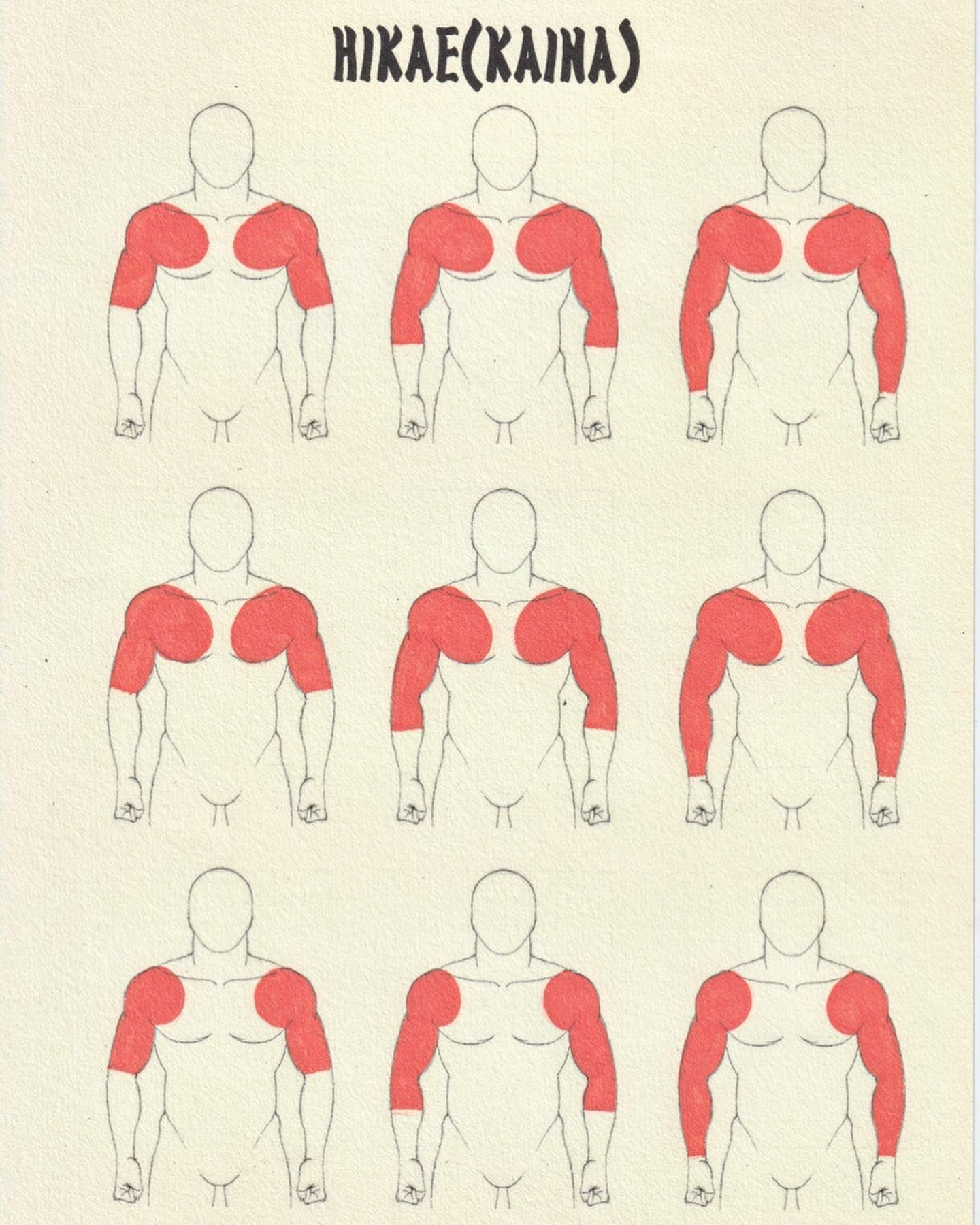 A drawing of a man 's muscles with the word hikae on the bottom