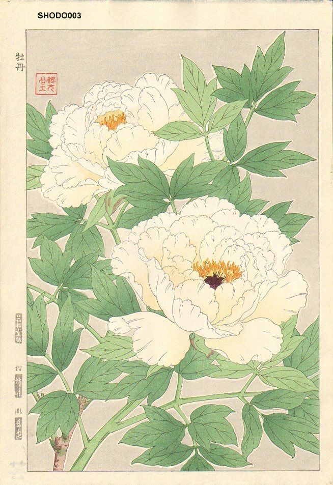 A painting of two white flowers with green leaves.