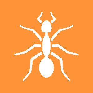 Ants Icon — Canberra, ACT — A1 Professional Pest Control