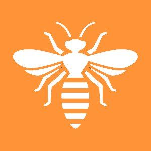 Bees Icon — Canberra, ACT — A1 Professional Pest Control