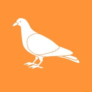 Pest Birds Icon — Canberra, ACT — A1 Professional Pest Control