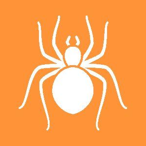 Spiders Icon — Canberra, ACT — A1 Professional Pest Control