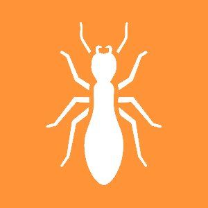 Termites Icon — Canberra, ACT — A1 Professional Pest Control
