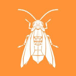 Pantry & Clothes Moths Icon — Canberra, ACT — A1 Professional Pest Control