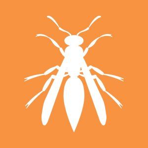 Wasps Icon — Canberra, ACT — A1 Professional Pest Control