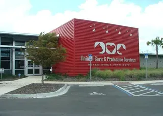 Animal Care & Control — Jacksonville, FL — Bill Williams Air Conditioning and Heating, Inc