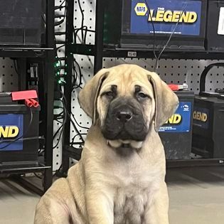 who makes brake lines