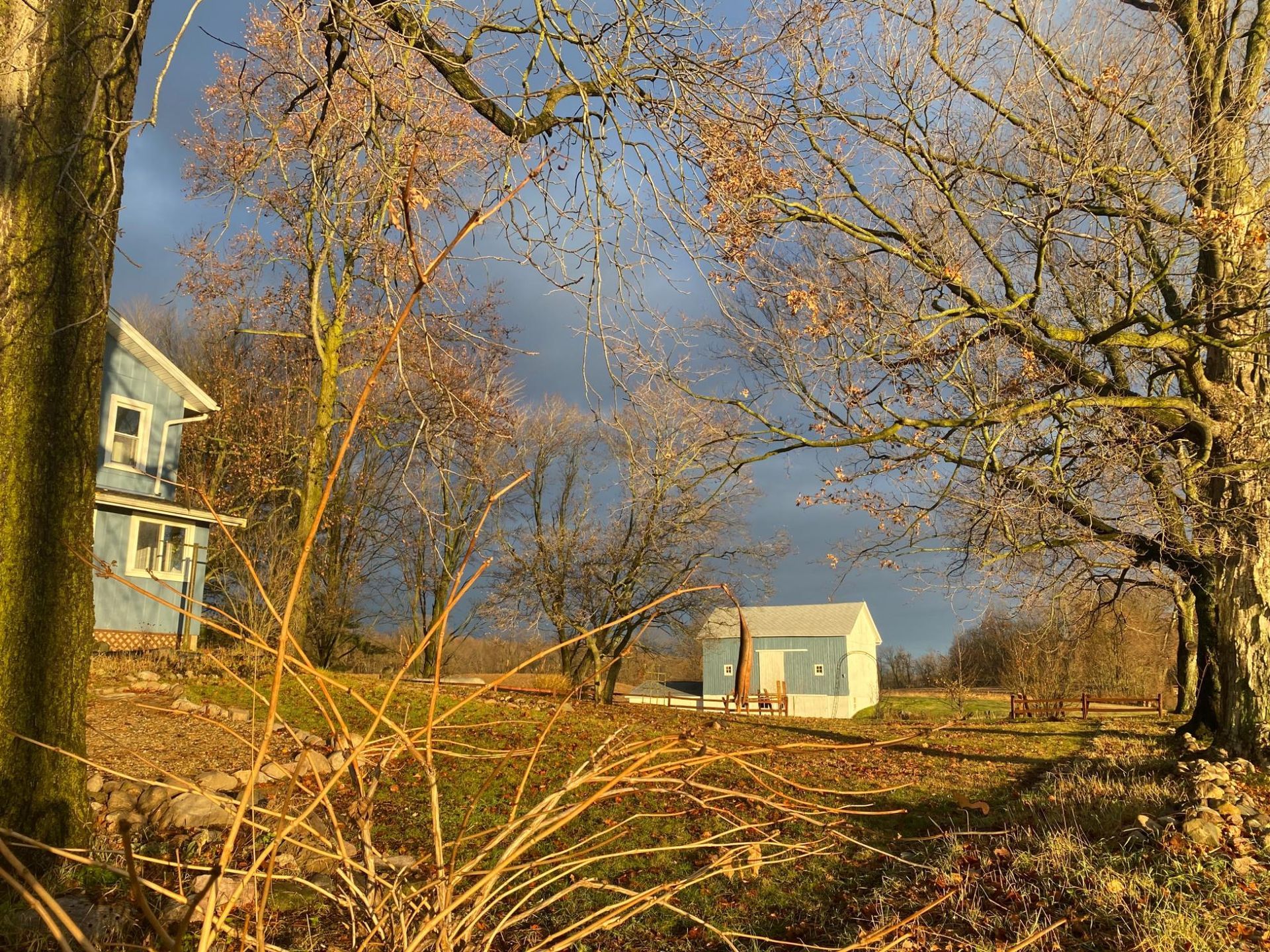 A small house is surrounded by trees in a field.