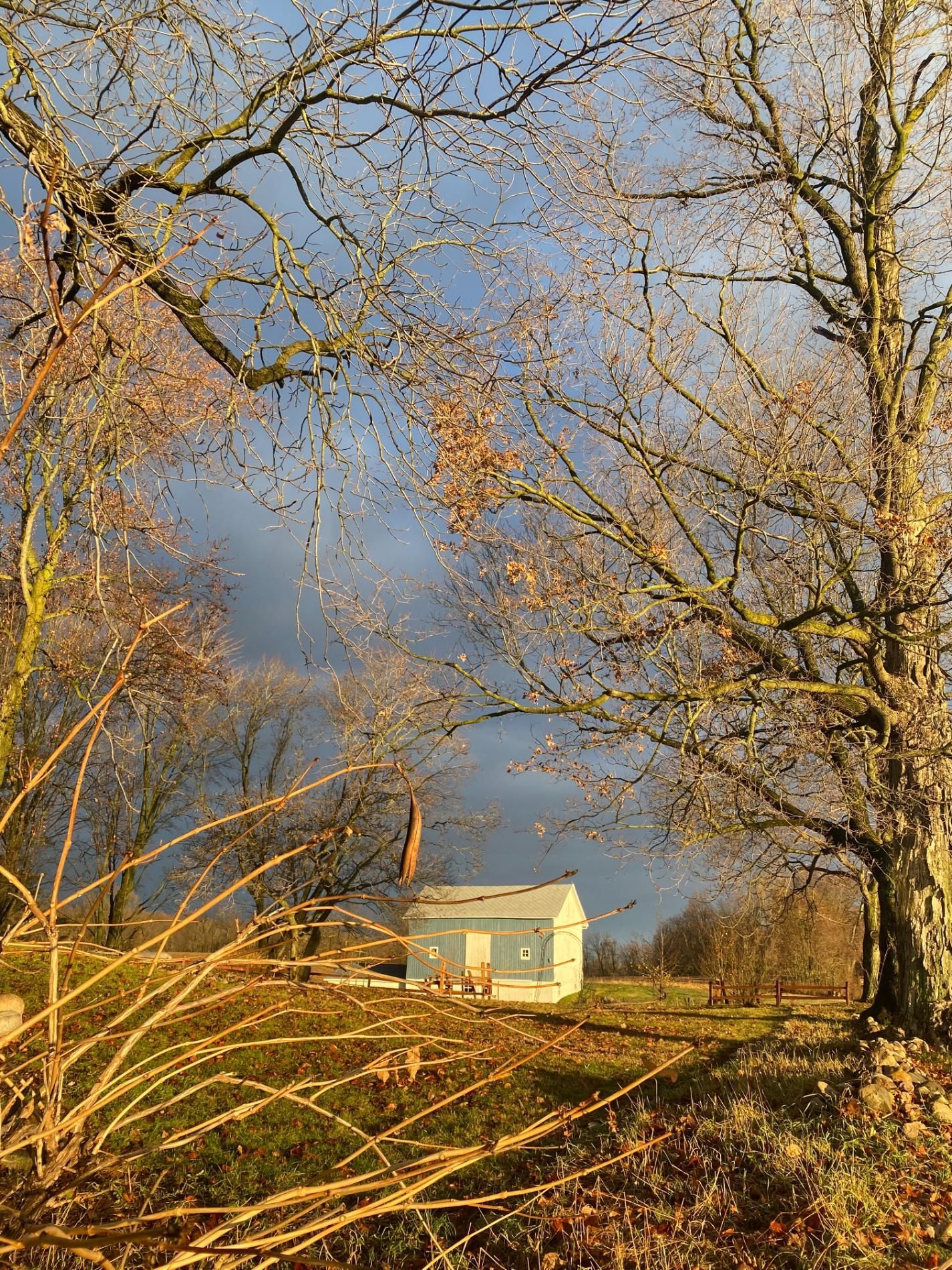 There is a small house in the middle of a field surrounded by trees.