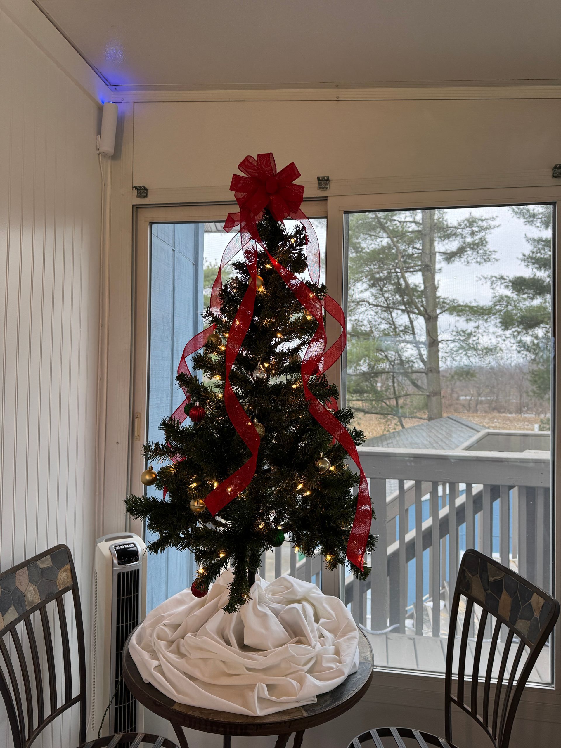 Small decorated Christmas tree with red bow and ribbon, white skirt, and a view of a deck and trees outside a window.