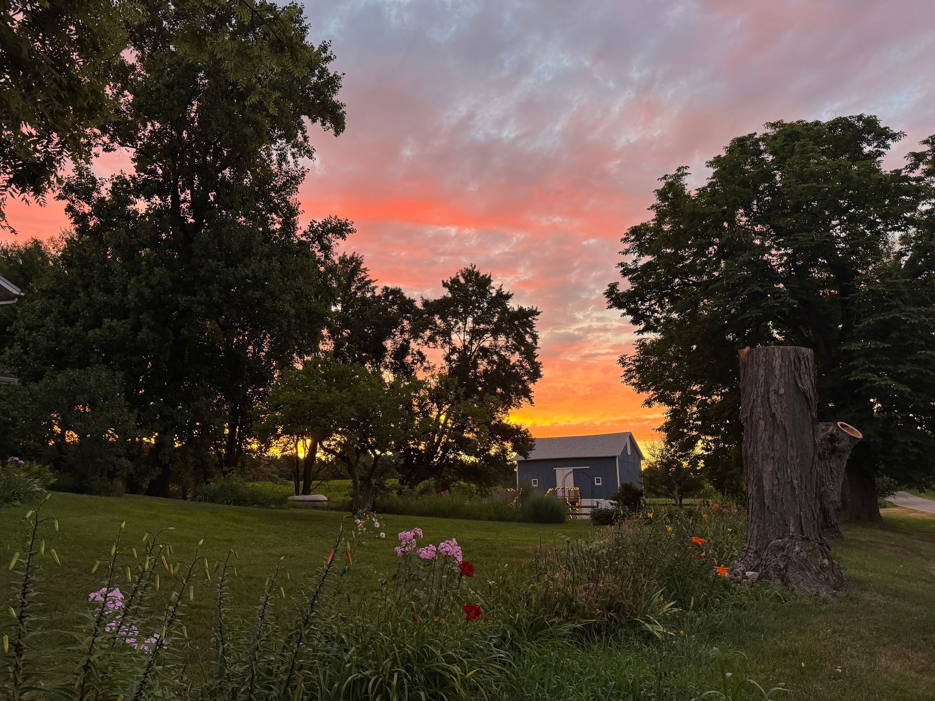 Sunset over a field with a blue wedding barn, trees, and colorful flowers.