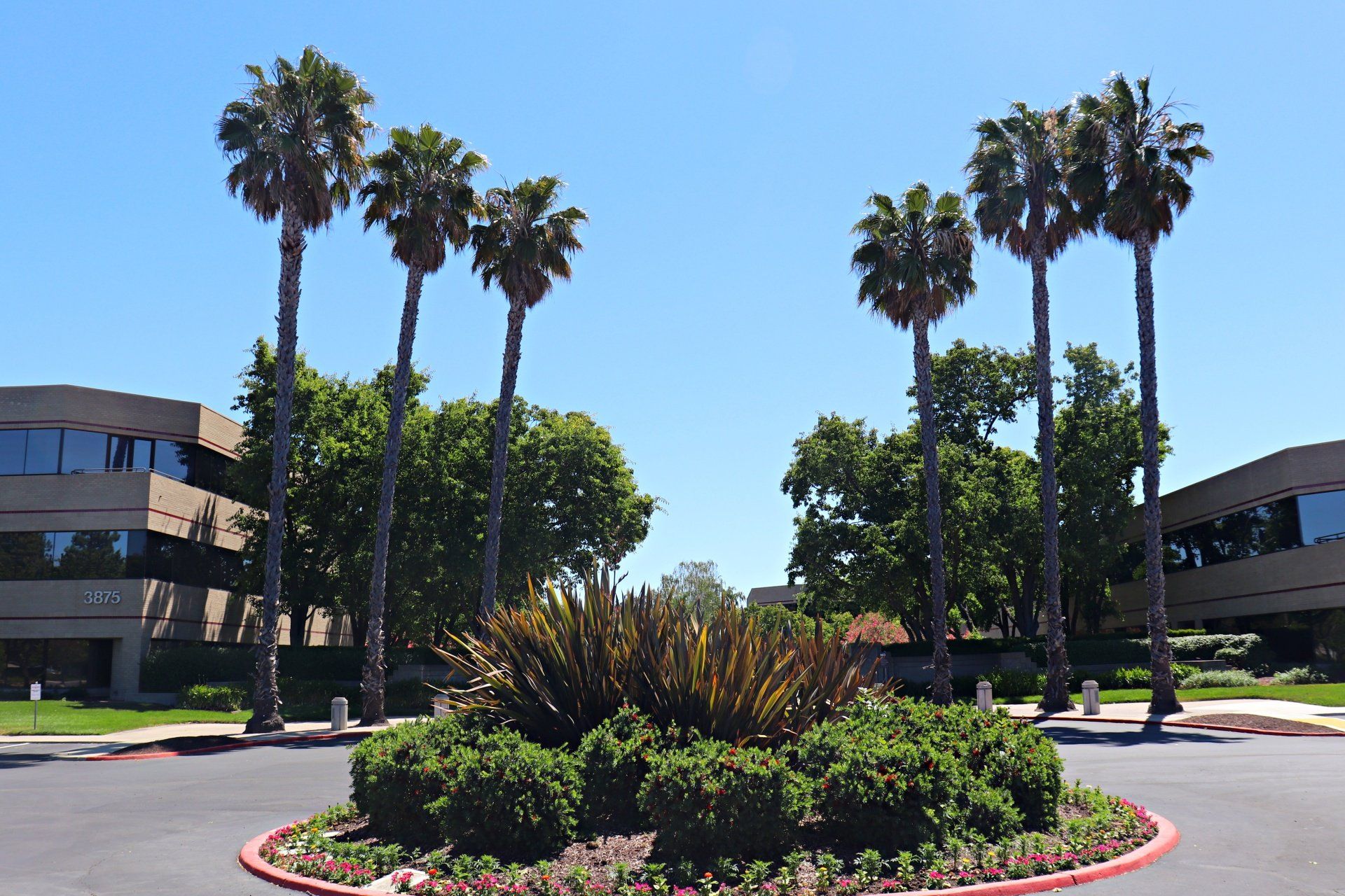 landscaping fertilizers