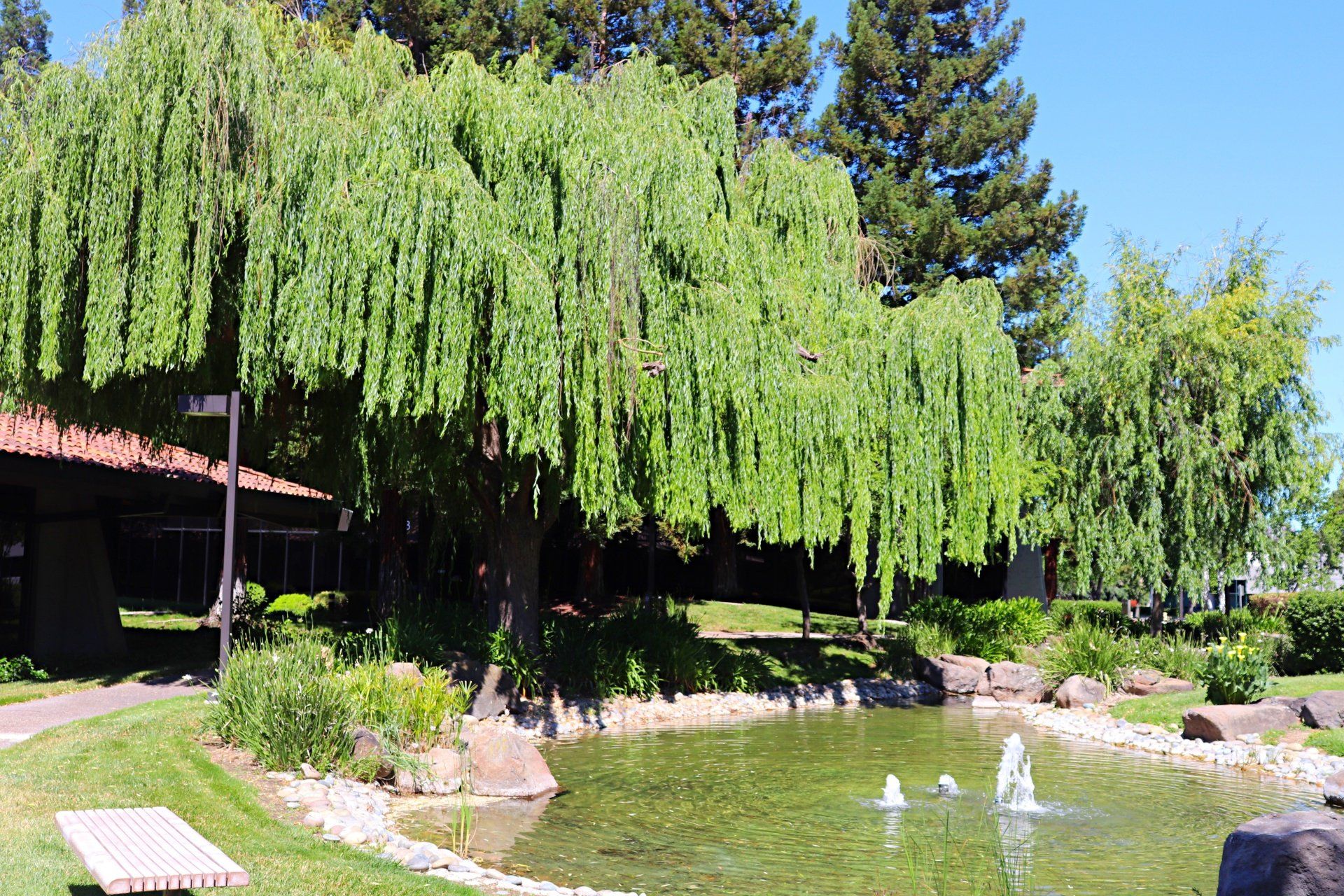 landscaping fertilizers