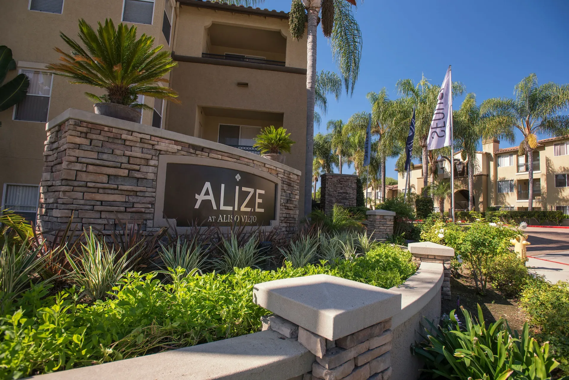 Stone entrance sign reading 'ALIZE at ALISO VIEJO' with palm trees and landscaped plants at Alize Apartment Homes in Aliso Viejo, CA.