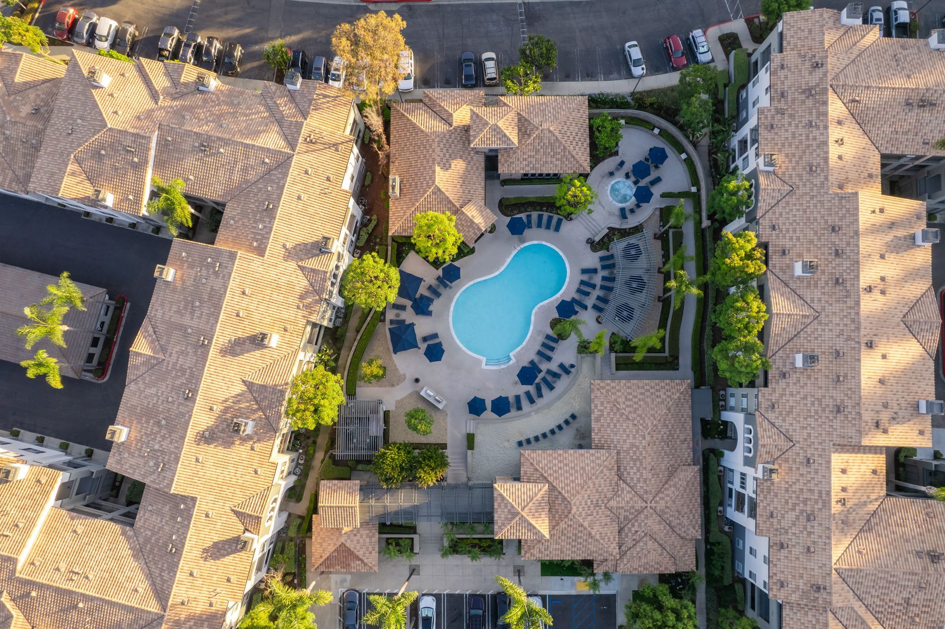 Aerial view of a modern apartment courtyard with a kidney-shaped pool and blue lounge chairs at Alize Apartment Homes in Aliso Viejo, CA.