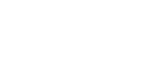 Dennis Coccia Salon logo